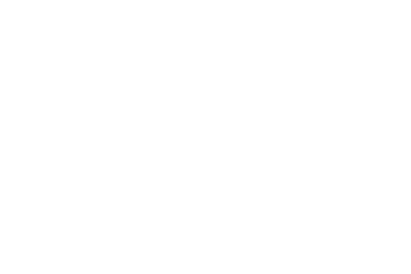 logo-ile-des-embiez-ricard